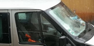 Der Hund ist nach Zeugenaussagen seit mehreren Stunden im Fahrzeug eingeschlossen (Foto: privat)