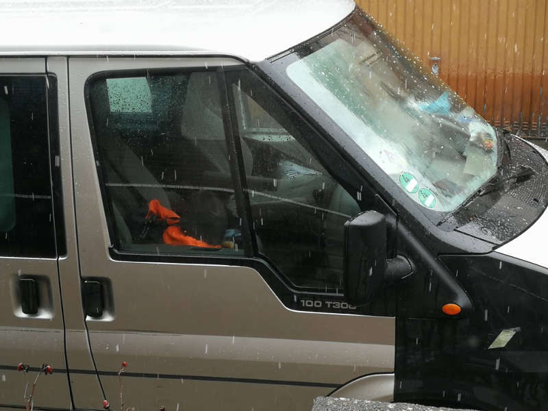 Der Hund ist nach Zeugenaussagen seit mehreren Stunden im Fahrzeug eingeschlossen (Foto: privat)