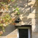 Wohnung Piepmätze (Foto: Pfalzmuseum für Naturkunde)