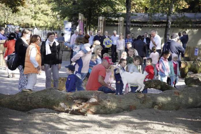 Erwachsene und Kinder kommen gerne in den Tierpark, hier zur Eröffnung des Streichelzoos im Oktober 2018 (Foto: Pfeifer)