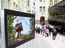Impression Pirmasenser Fototage 2017/Atrium Rheinberger (Foto: Rüdiger Buchholz)