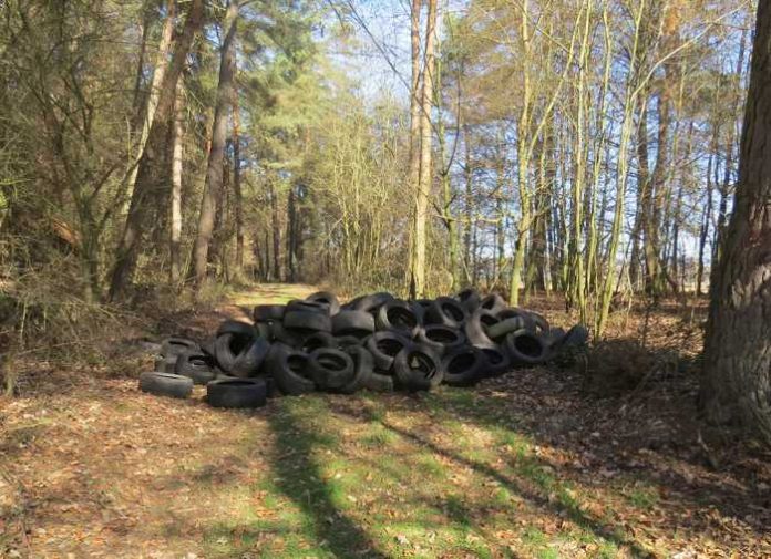 Artikel_Ein großer Haufen Altreifen im Wald