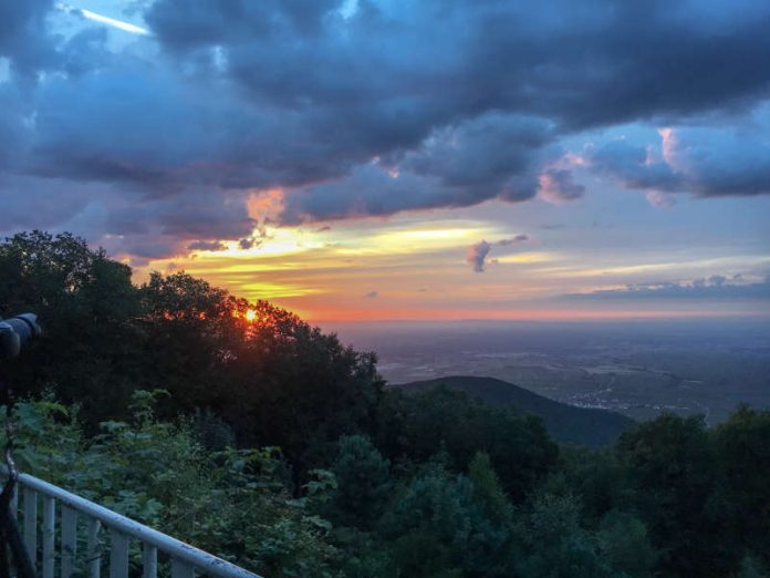 Blick von der Kalmit (Foto: Büro für Tourismus Maikammer)