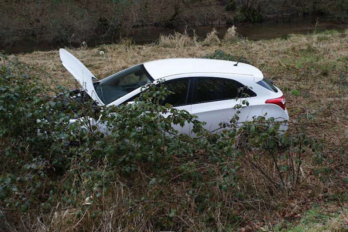 Das Fahrzeug auf der Wiese (Foto: Presseteam der Feuerwehr VG Lambrecht)