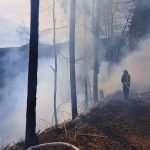 Waldbrand bei Helmbach (Foto: Presseteam der Feuerwehr VG Lambrecht)