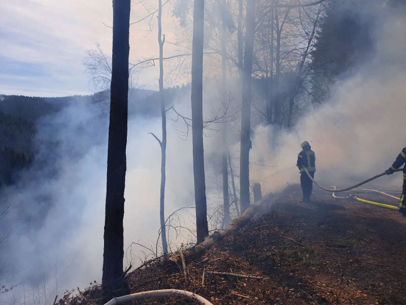 Waldbrand bei Helmbach (Foto: Presseteam der Feuerwehr VG Lambrecht)