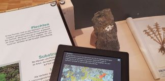 Variable Textgröße und Detailfotos auf den Tablets im Pfalzmuseum (Foto: Pfalzmuseum für Naturkunde)