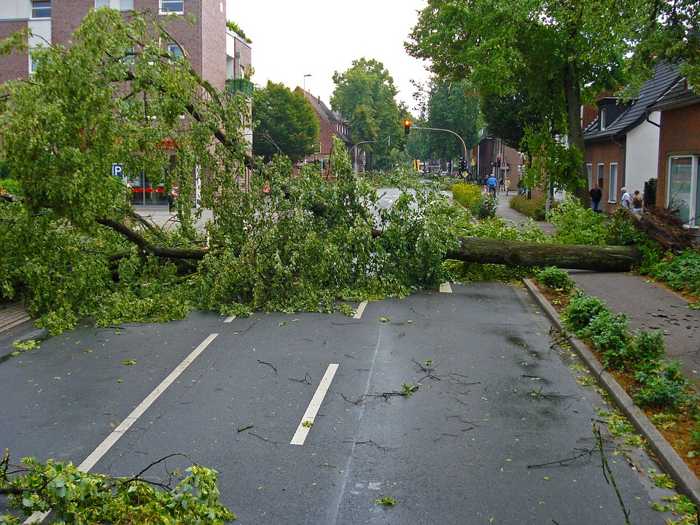 Symbolbild, Sturm, Baum, Sturmschaden, Straße © Jan Mallander on Pixabay