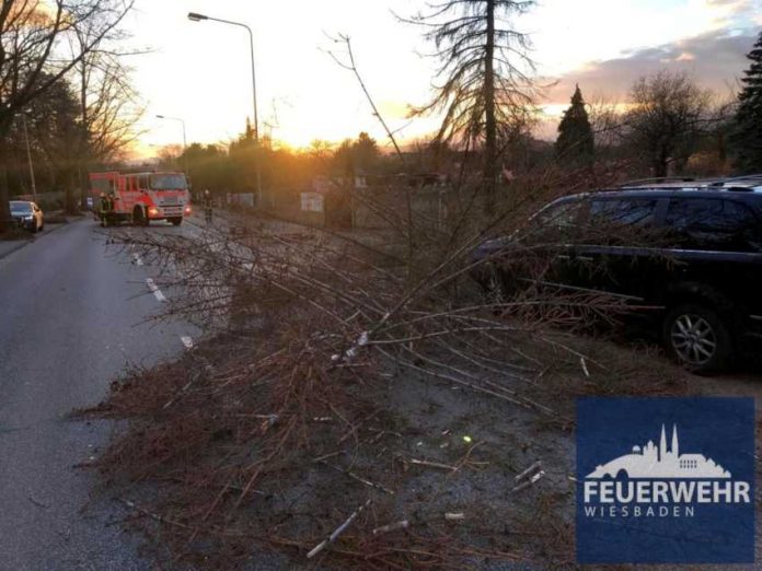 Umgestürzte Bäume behindern den Straßenverkehr © Feuerwehr Wiesbaden
