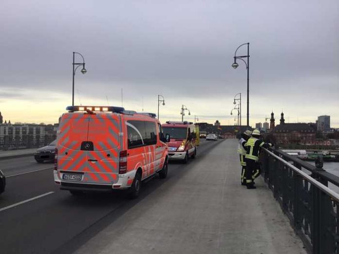 Artikel: Wasserrettungseinsatz am Rhein © Feuerwehr Wiesbaden