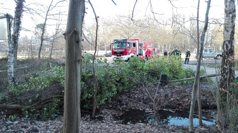 Umgestürzte Bäume (Foto: Feuerwehr Haßloch)