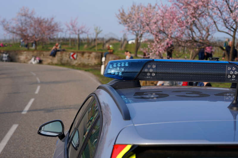 Polizeiauto Mandelblüten (Foto: Holger Knecht)