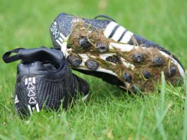 Symbolbild Rugby (Foto: Pixabay)