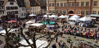 Der Marktplatz in Neustadt an der Weinstraße (Foto: WEG Neustadt)