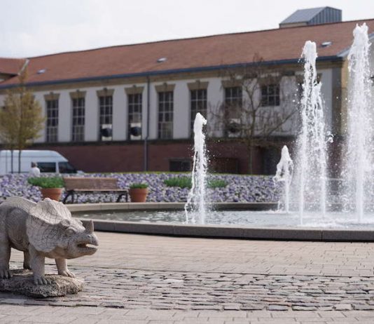 Kaiserslautern Gartenschau 2019 (Foto: Reinhard Schnell)