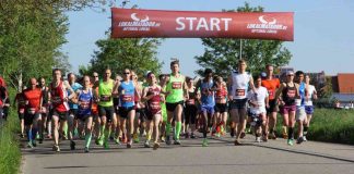 Frühlingslauf (Foto: Veranstalter/TSV 05 Rot)