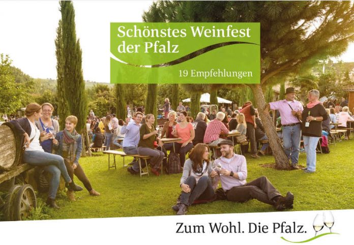 Titelbild Broschüre Schönstes Weinfest (Foto: Pfalzwein e.V.)