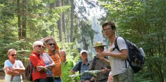 Mit ausgewiesenen und zertifizierten Kennerinnen und Kennern des Biosphärenreservats unterwegs: Führung mit einer Biosphären-Guide im Breitenbach-Tal bei Appenthal (Foto: Biosphärenreservat/frei)