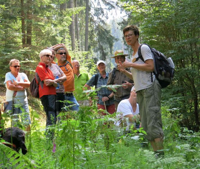 Mit ausgewiesenen und zertifizierten Kennerinnen und Kennern des Biosphärenreservats unterwegs: Führung mit einer Biosphären-Guide im Breitenbach-Tal bei Appenthal (Foto: Biosphärenreservat/frei)