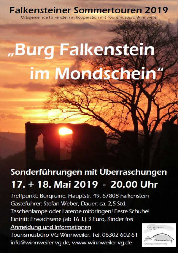 Burg Falkenstein im Mondschein