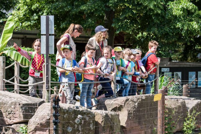 Pfingstferien mit der Zooschule Heidelberg (Susanne Reichardt/Zooschule Heidelberg)