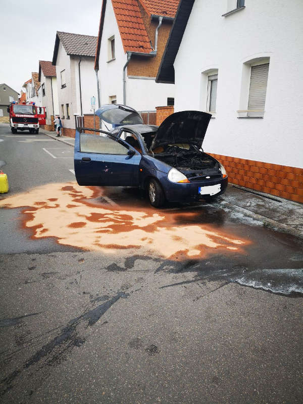 Der betroffene PKW (Foto: Feuerwehr Haßloch)