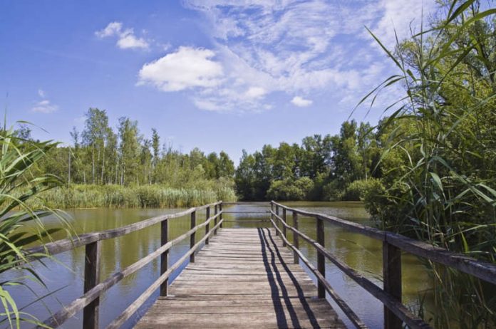 Geo-/Industrie- und Natur- Erkundungs-Tour Eisenberg