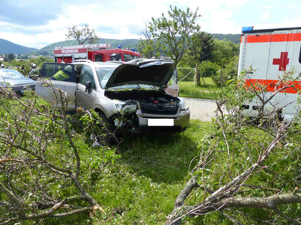 Der PKW prallte nach Polizeiangaben an einen Mandelbaum (Foto: Feuerwehr Neustadt)