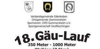 Titelbild (Flyer) 18. Gäulauf (Quelle: VG Edenkoben)