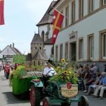Festumzug (Foto: Tourist Service GmbH Deidesheim)