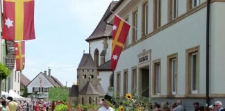 Festumzug (Foto: Tourist Service GmbH Deidesheim)