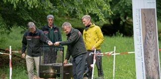 Herr Frank Ridderbusch und Herr Wolfgang Wambsganß von der Zentrale der Forstverwaltung entlassen Braňo in seine neue Heimat. (Foto: Annina Pruessing / SNU)