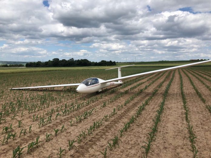 Notlandung auf einem Feld (Foto: Polizei RLP)