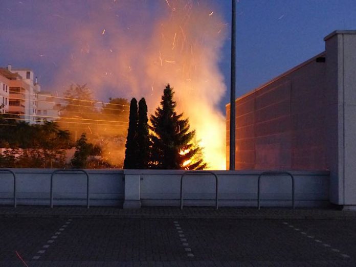 Flächenbrand an einem Fitnessstudio (Foto: Feuerwehr Neustadt)