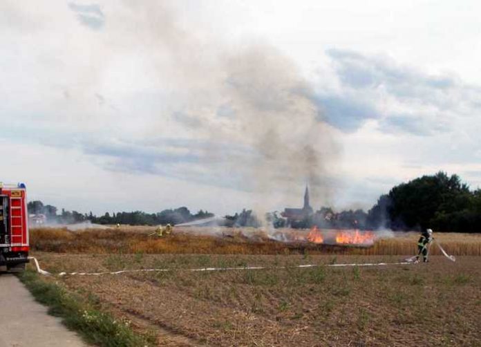 Flächenbrand Flächenbrand © Feuerwehr Frankenthal