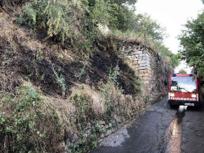 Kleinlöschfahrzeug (Foto: Feuerwehr Neustadt) Kleinlöschfahrzeug (Foto: Feuerwehr Neustadt)