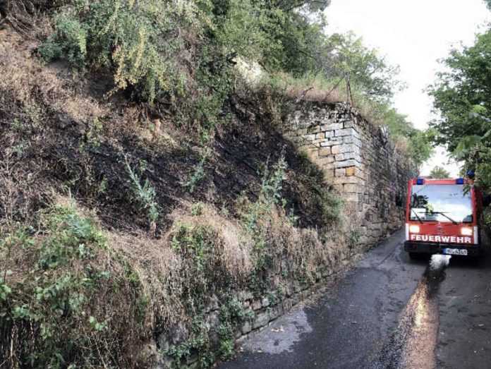 Kleinlöschfahrzeug (Foto: Feuerwehr Neustadt)