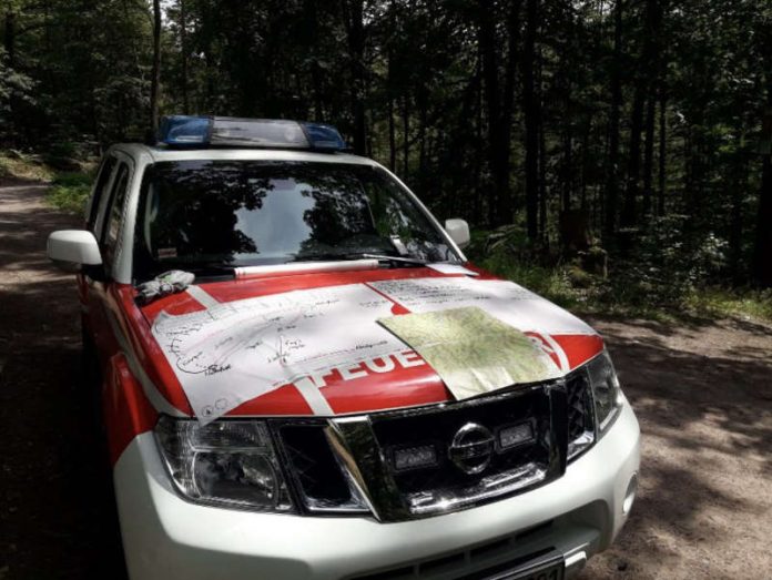 Nach der Person wurde im Wald gesucht (Foto: Feuerwehr Neustadt)