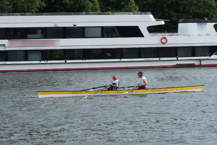 Ruderer auf dem Neckar in Heidelberg (Foto: Sarah Kohl) Ruderer auf dem Neckar in Heidelberg (Foto: Sarah Kohl)
