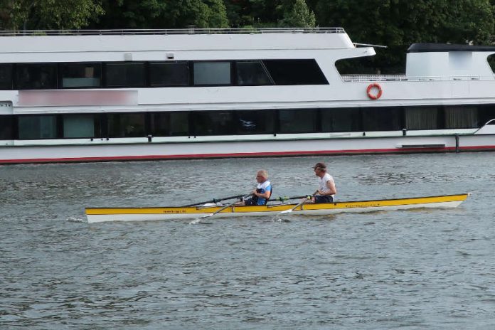 Ruderer auf dem Neckar in Heidelberg (Foto: Sarah Kohl)