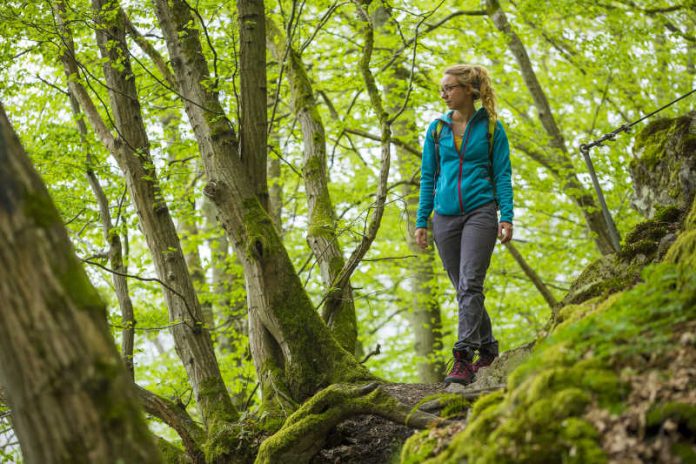 Wandermarathon (Foto: Landesforsten RLP/Jonathan Fieber)