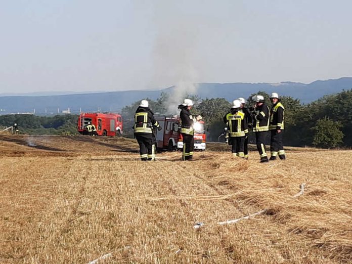 Flächenbrand (Foto: Freiwillige Feuerwehr Weilerbach)