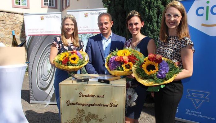 v.l.: Anna Göhring, Hannes Kopf, Inga Storck, Meike Klohr (Foto: SGD Süd)