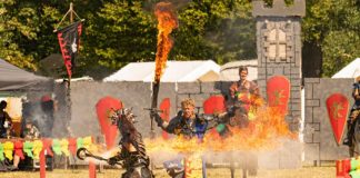 Speyer Mittelalterlich Phantasie Spectaculum 2019 (Foto: Florian Stoner)