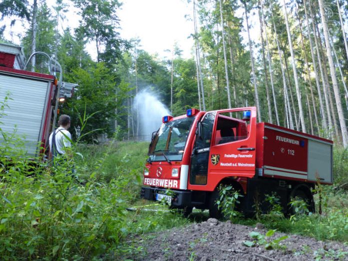 Die Feuerwehr im Wald (Foto: Feuerwehr Neustadt) Die Feuerwehr im Wald (Foto: Feuerwehr Neustadt)