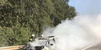 Fahrzeugbrand (Foto: Feuerwehr Neustadt)