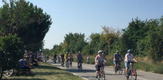 Radfahrer beim Erlebnistag Deutsche Weinstraße (Foto: Pfalzwein e.V.)