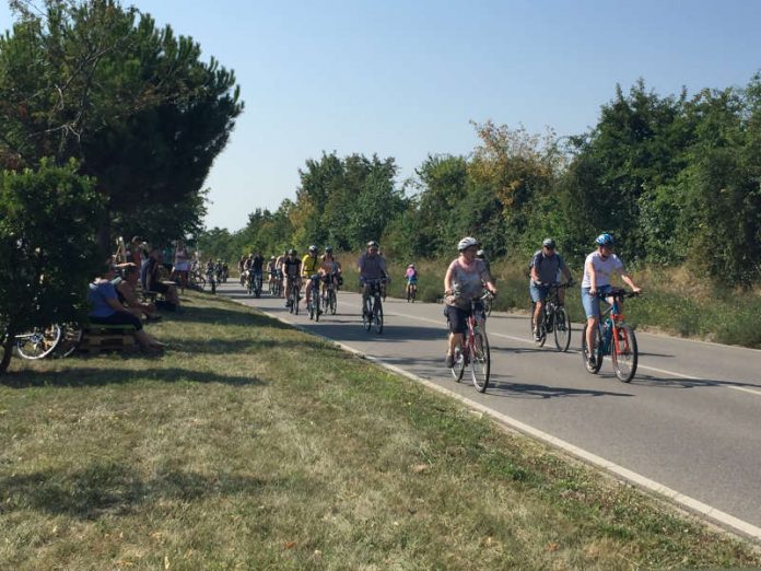 Radfahrer beim Erlebnistag Deutsche Weinstraße (Foto: Pfalzwein e.V.)