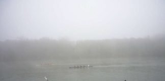 Ruderer auf dem Rhein-Nebenarm "Wachsbleiche" bei Mainz (Foto: Hannes Blank)