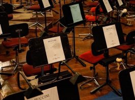 Symbolbild Orchester (Foto: Pixabay)